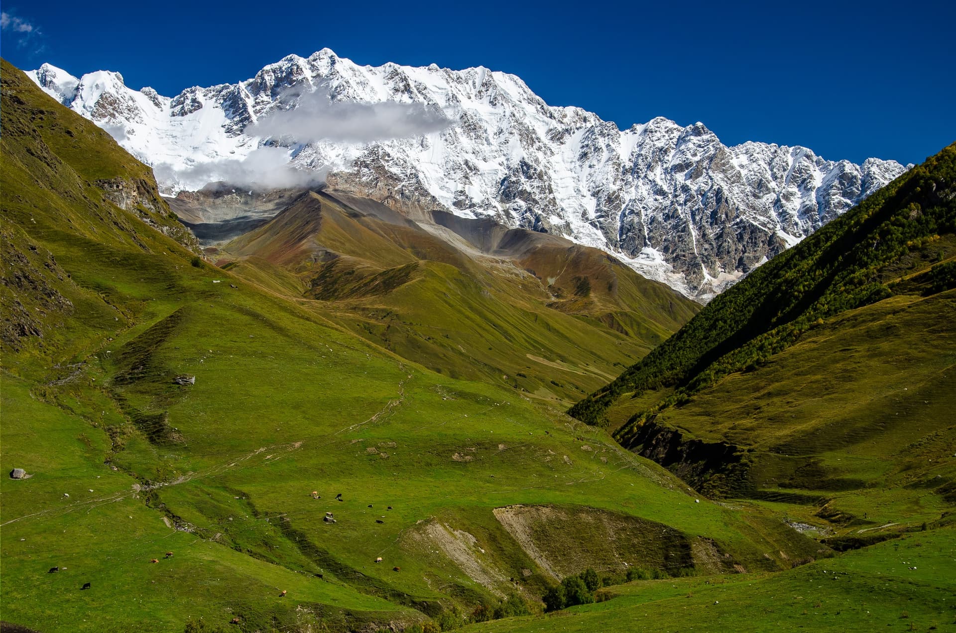 Mount Chkhara, Georgia's Highest Peak