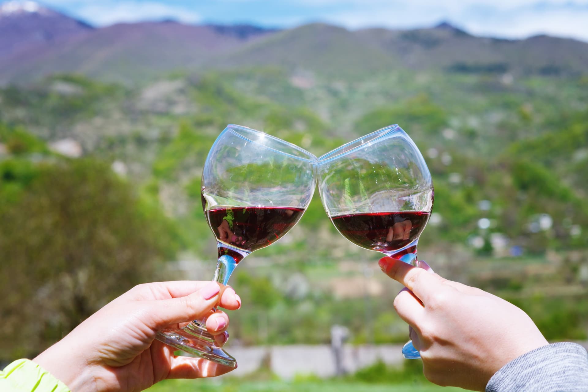 Khvanchkara Vineyard and Winery